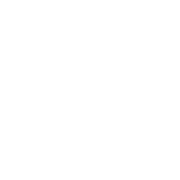 Magnifine glass icon